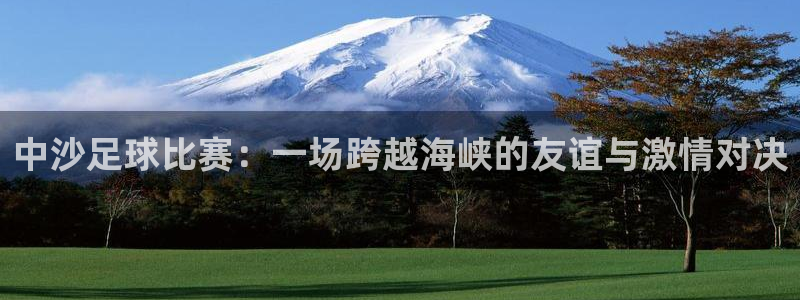  中沙足球比赛：一场跨越海峡的友谊与激情对决