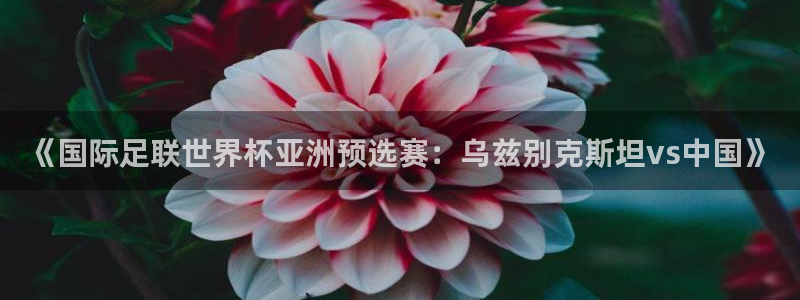  《国际足联世界杯亚洲预选赛：乌兹别克斯坦vs中国》