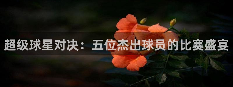  超级球星对决：五位杰出球员的比赛盛宴