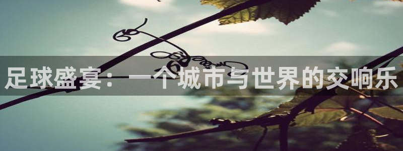 足球盛宴：一个城市与世界的交响乐