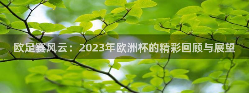 欧足赛风云：2023年欧洲杯的精彩回顾与展望