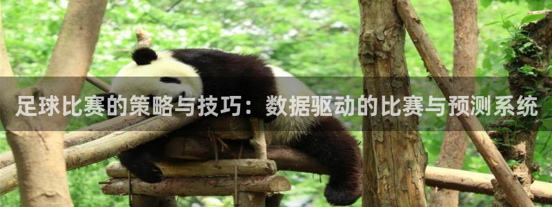 足球比赛的策略与技巧：数据驱动的比赛与预测系统